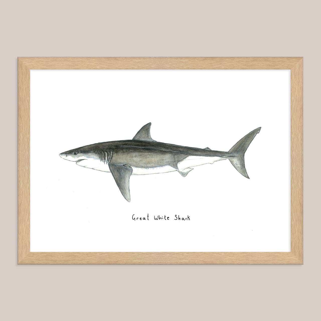 Great White Shark Print